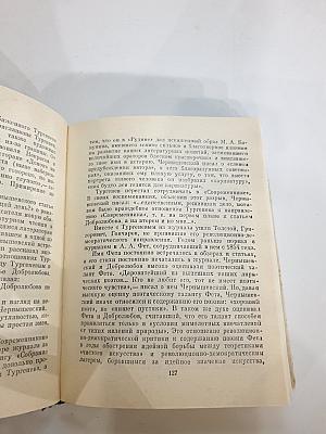 Чернышевский в Петербурге