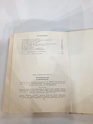 Чернышевский в Петербурге