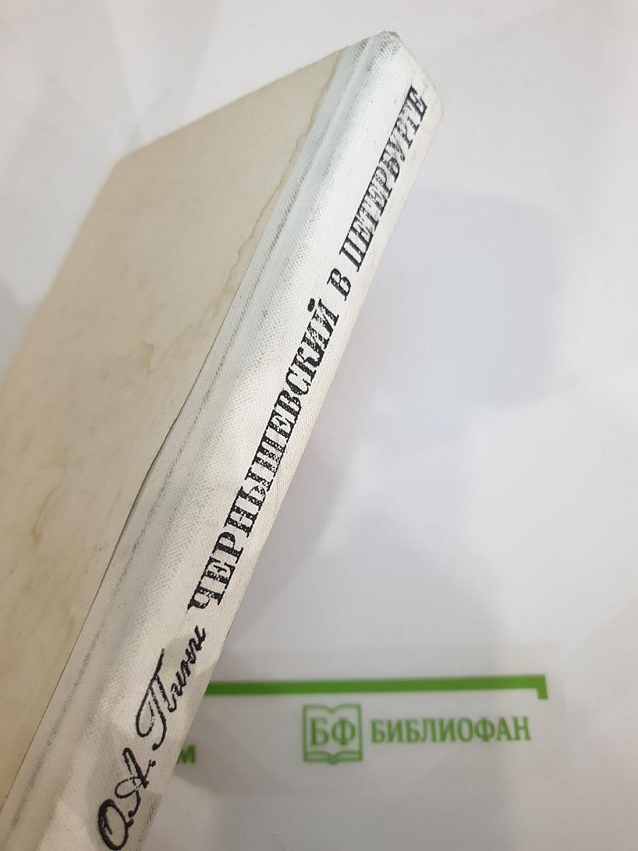 Чернышевский в Петербурге