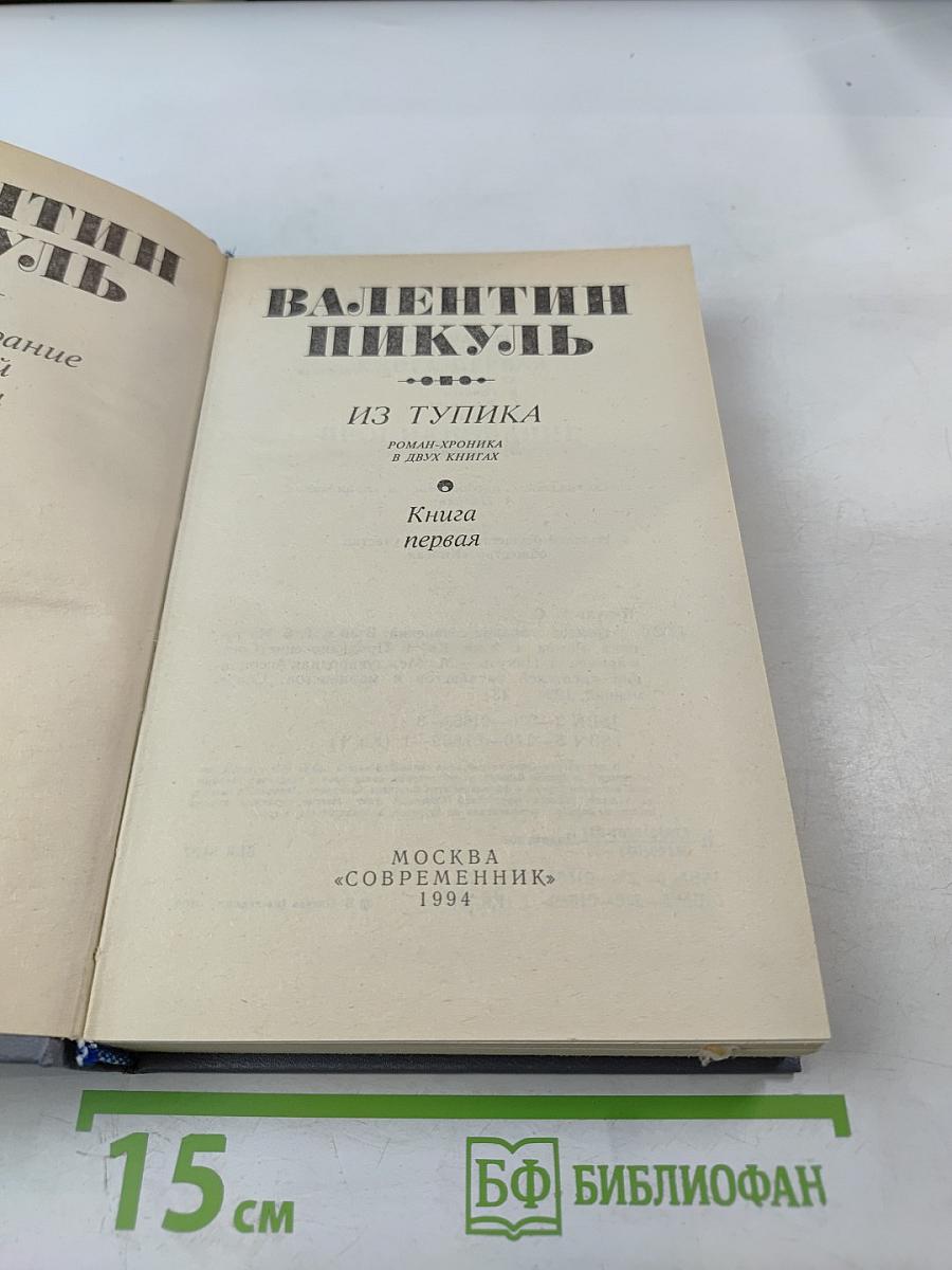 Из тупика. Книга первая