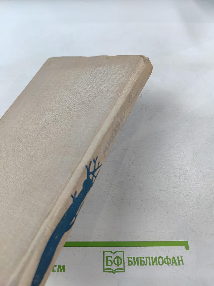 Дума про тебя