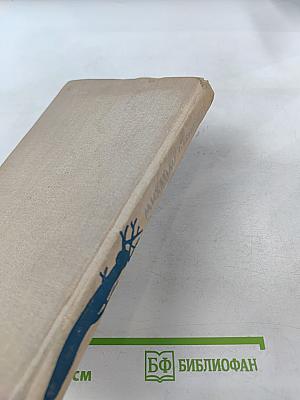 Дума про тебя