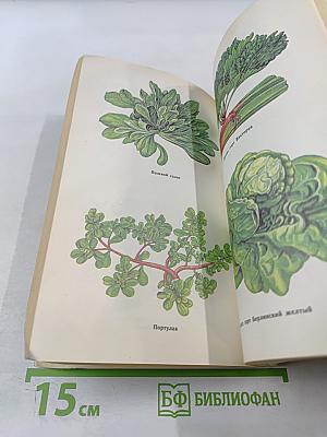 Овощи - родник здоровья