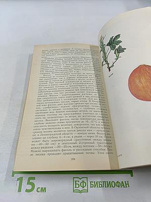 Овощи - родник здоровья