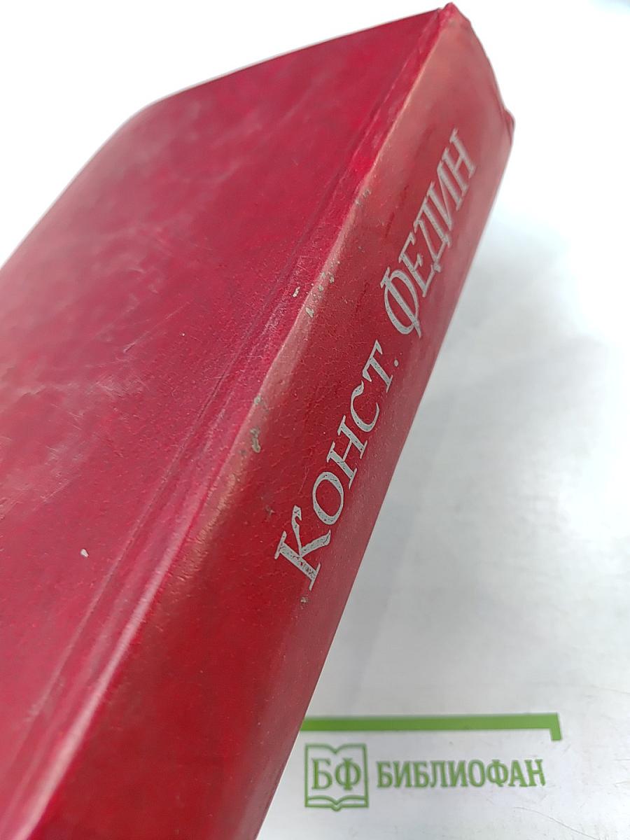 Первые радости. Необыкновенное лето