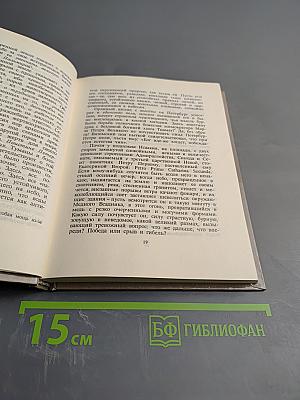 Душа Петербурга