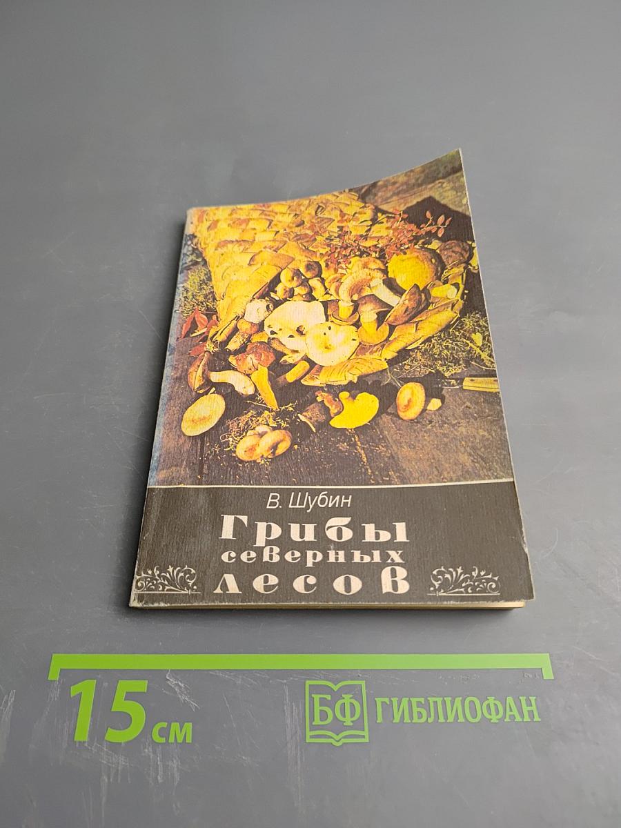Грибы северных лесов