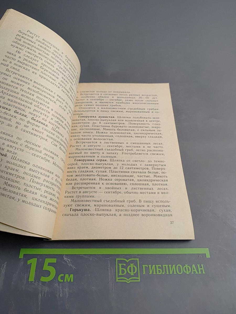 Грибы северных лесов