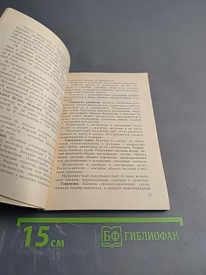 Грибы северных лесов