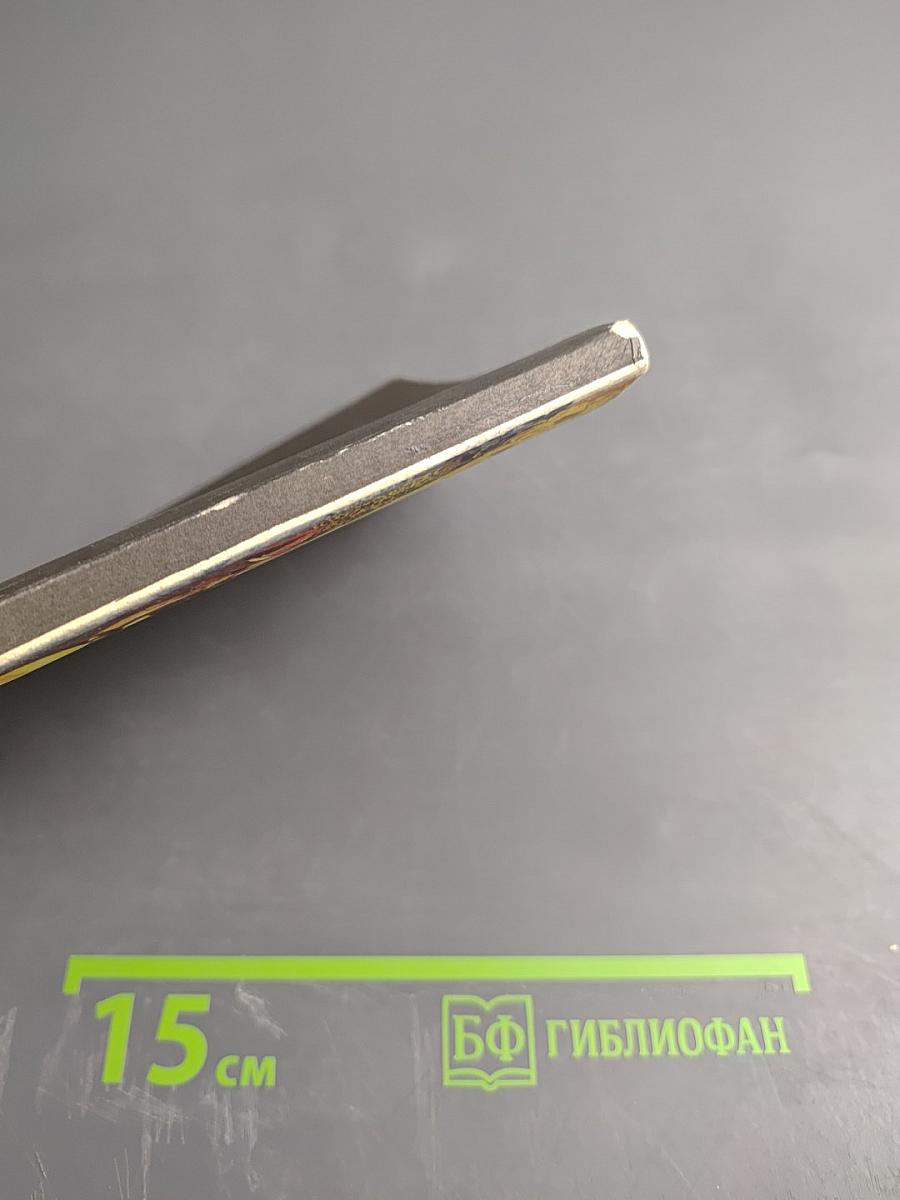 Грибы северных лесов