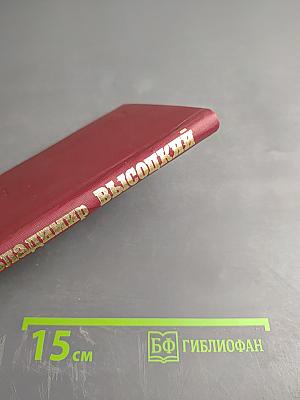 Владимир Высоцкий. Нерв