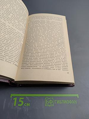 Лунный камень. Желтая маска