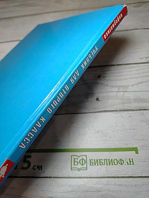 Информатика. Учебник для второго класса