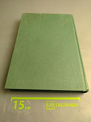 Прямое зеркало любви