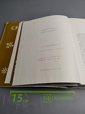 Шота Руставели. Витязь в тигровой шкуре