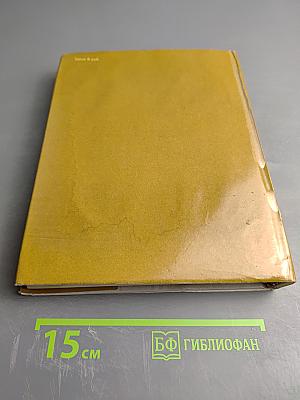 Шота Руставели. Витязь в тигровой шкуре