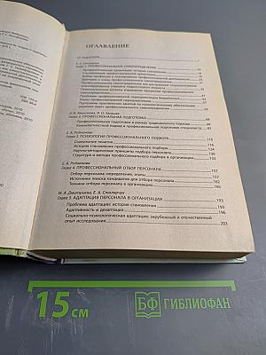 Психологическое обеспечение профессиональной деятельности: Теория и практика