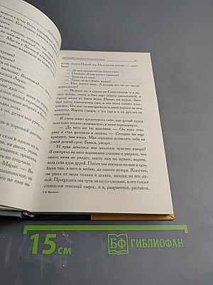 Путешествие оптимистки, или Все бабы дуры