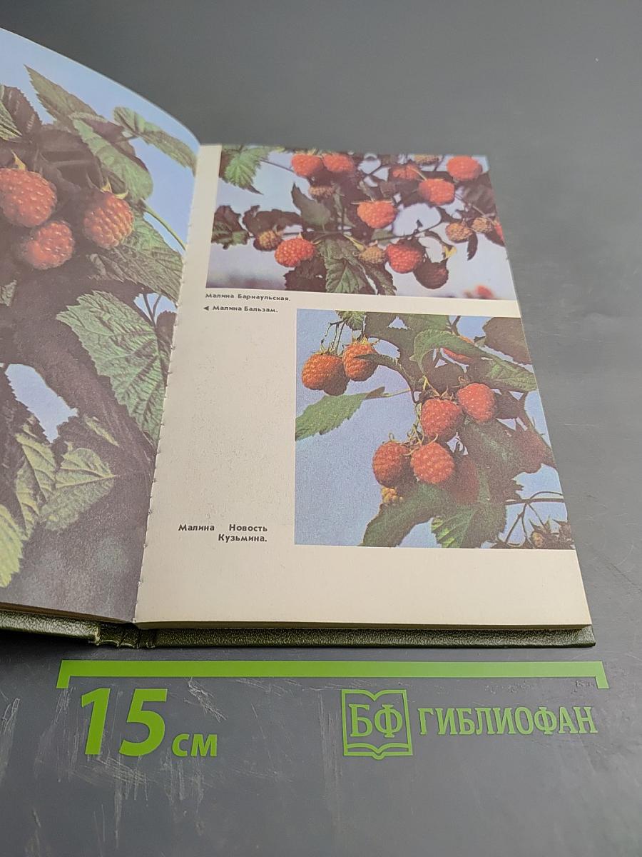 Ягодные культуры