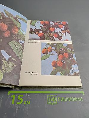 Ягодные культуры