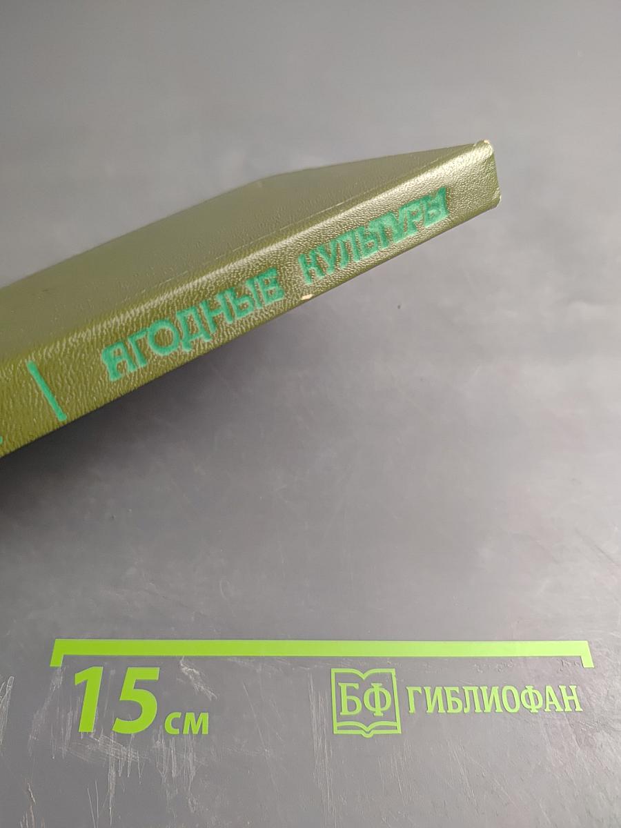 Ягодные культуры