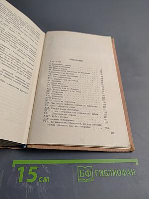 Виконт де Бражелон или Десять лет спустя. Части 3, 4