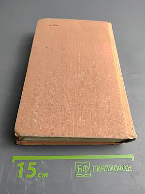 Виконт де Бражелон или Десять лет спустя. Части 3, 4