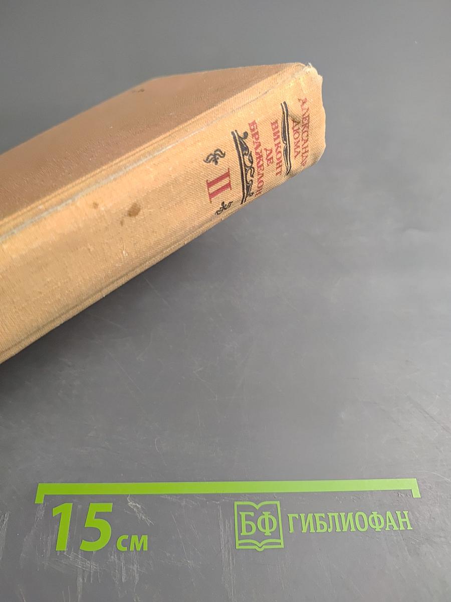 Виконт де Бражелон или Десять лет спустя. Части 3, 4