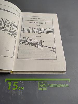 Високосный год