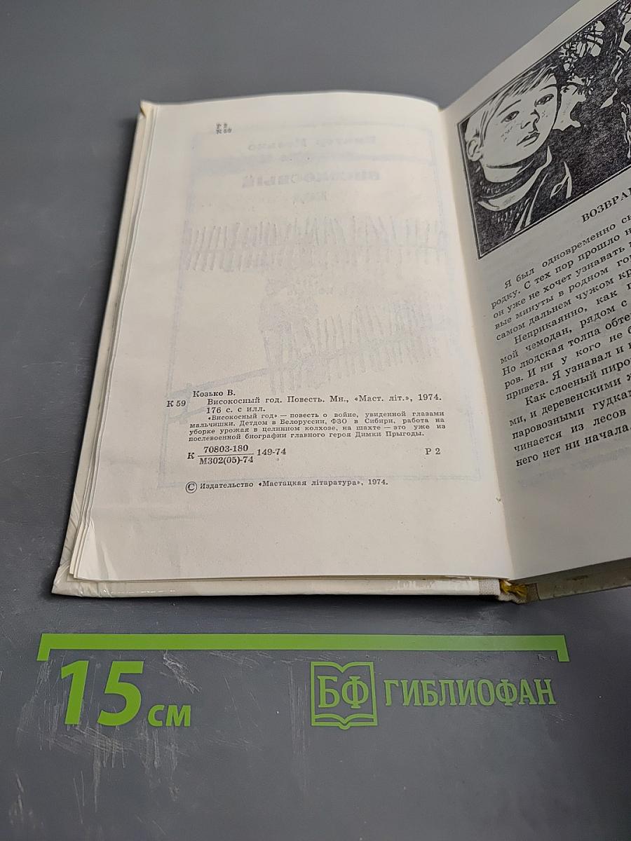 Високосный год