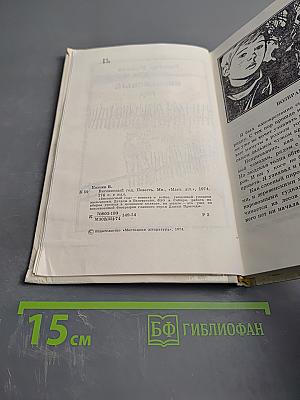 Високосный год