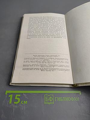 Високосный год