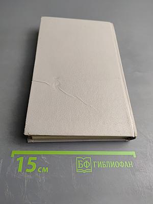 Безвременье и временщики