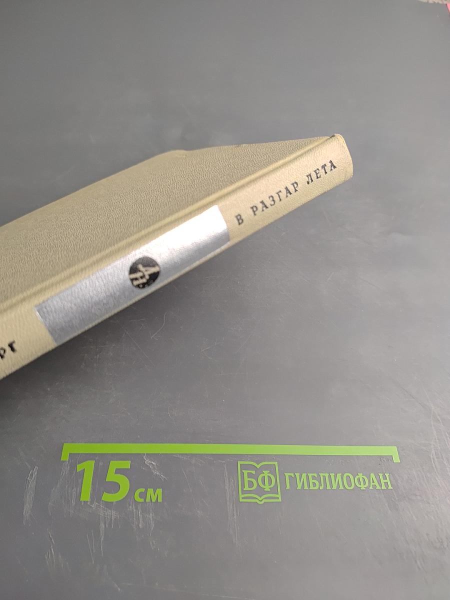 В разгар лета