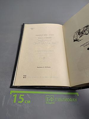 Контрапункт