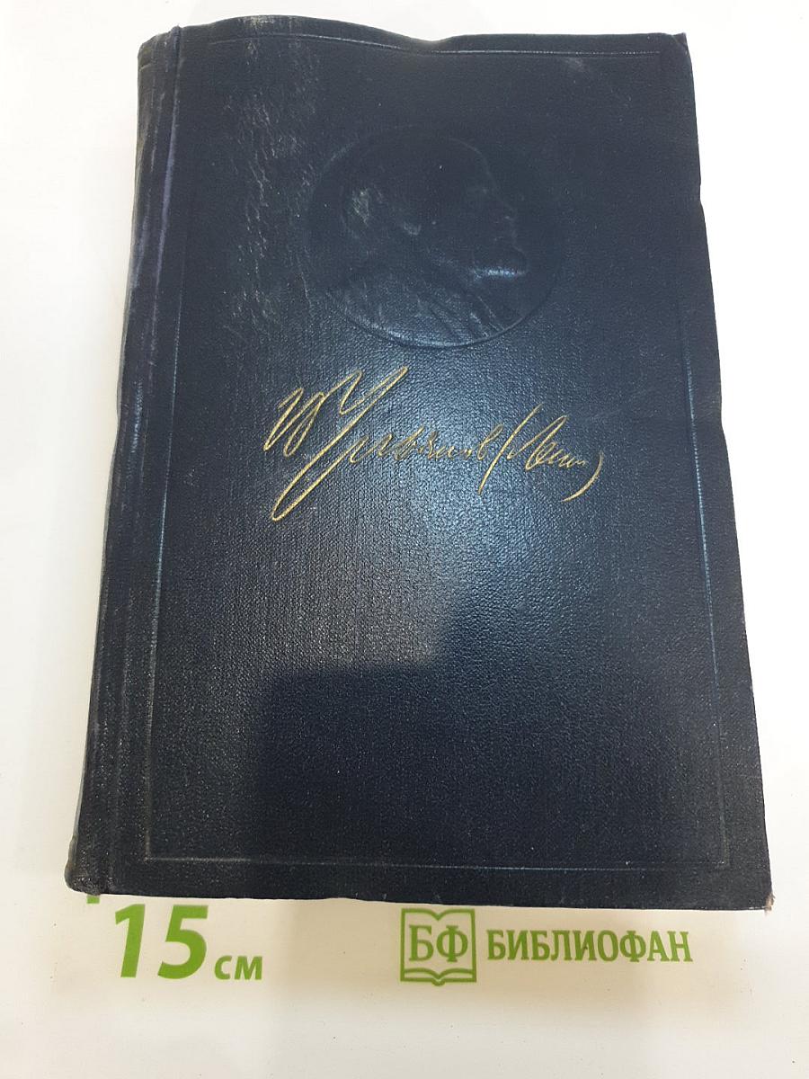 Полное собрание сочинений. Том 41. Май-ноябрь 1920