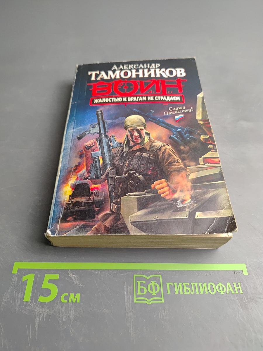 Воин. Жалостью к врагам не страдаем