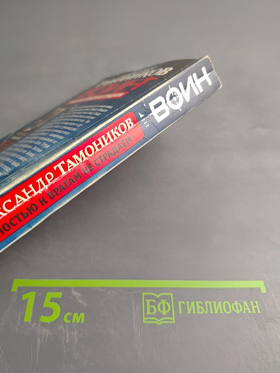 Воин. Жалостью к врагам не страдаем