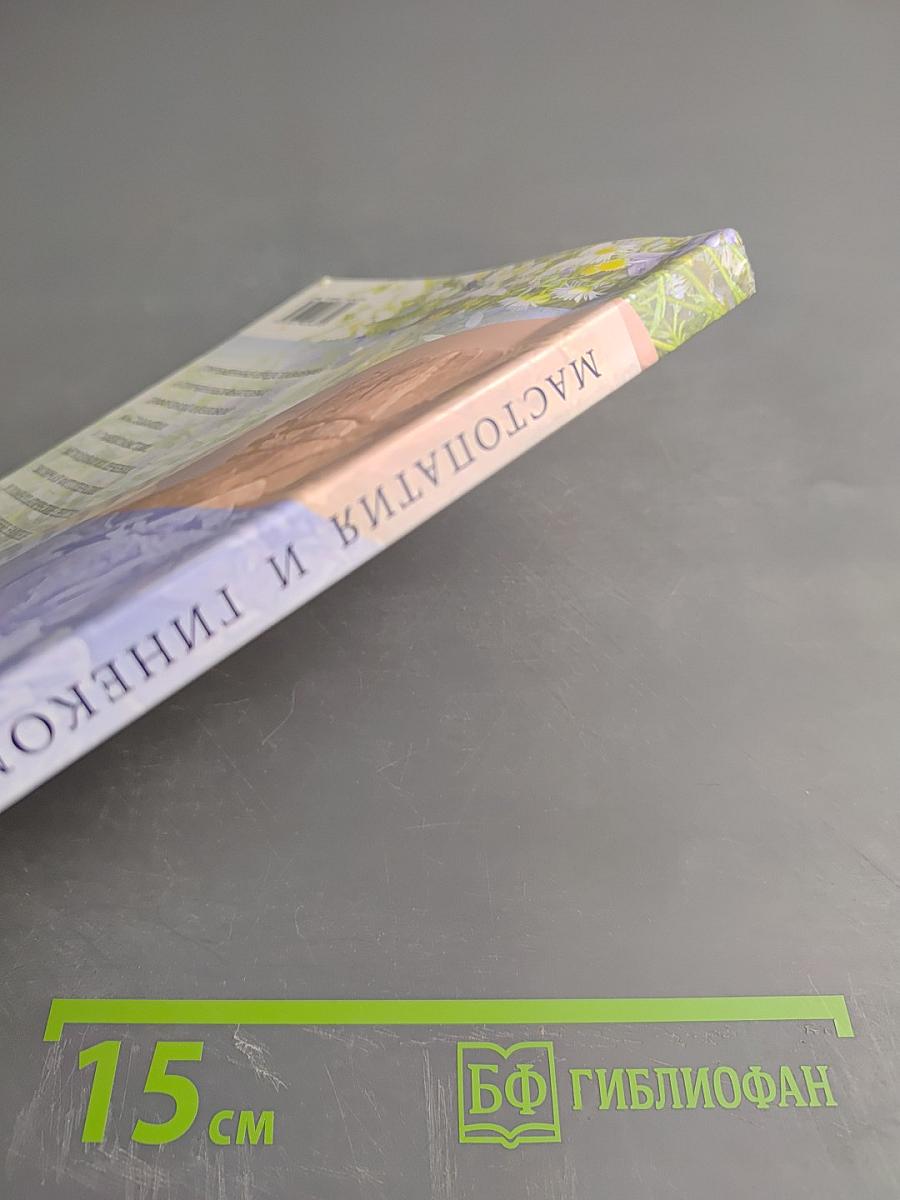 Мастопатия и гинекомастия