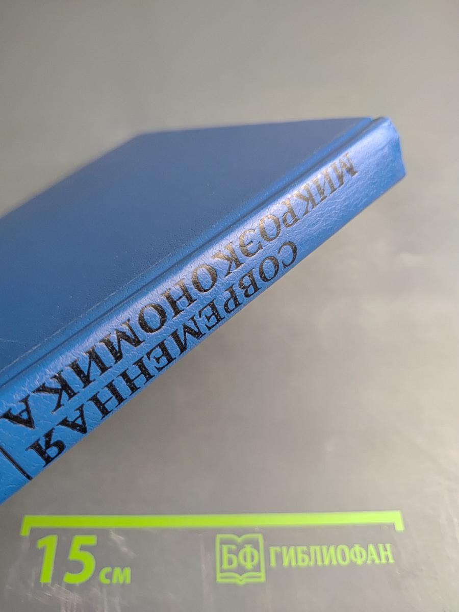 Современная микроэкономика: анализ и применение II