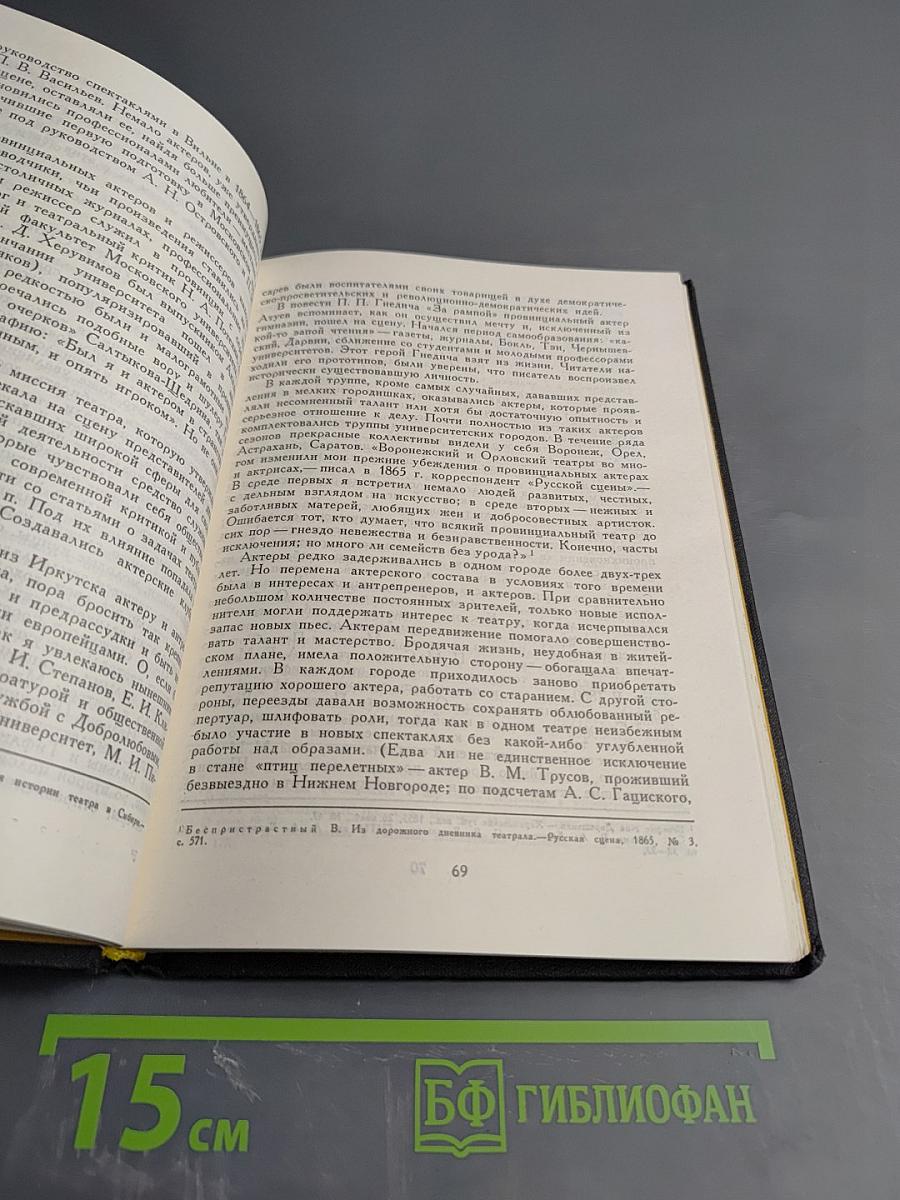 Театр и зритель провинциальной России. Вторая половина XIX века