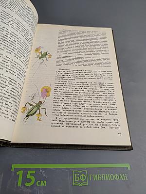 Мир животных. Рассказы о насекомых