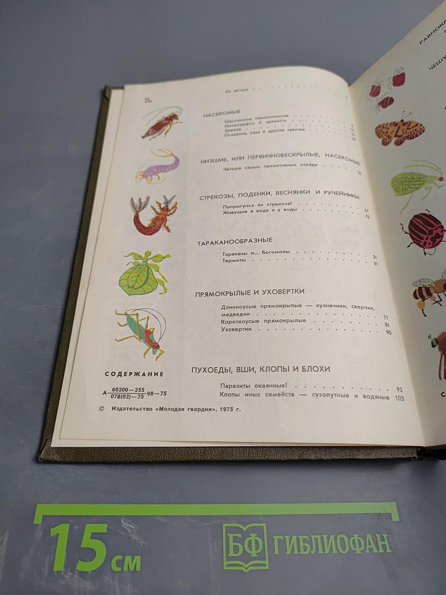 Мир животных. Рассказы о насекомых