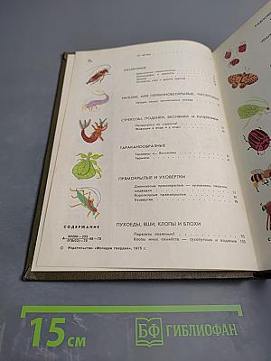 Мир животных. Рассказы о насекомых