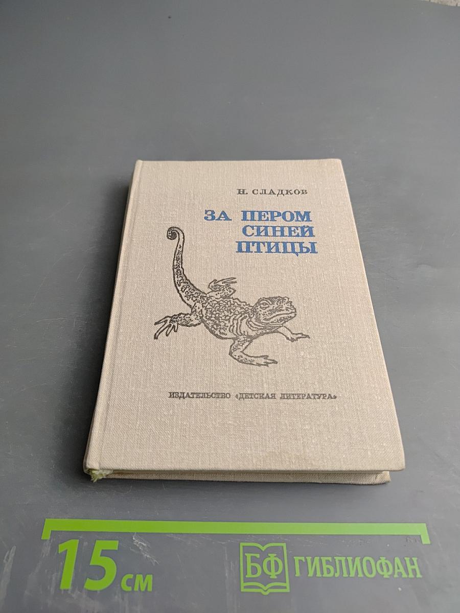 За пером синей птицы