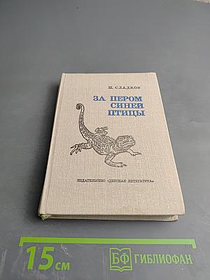 За пером синей птицы