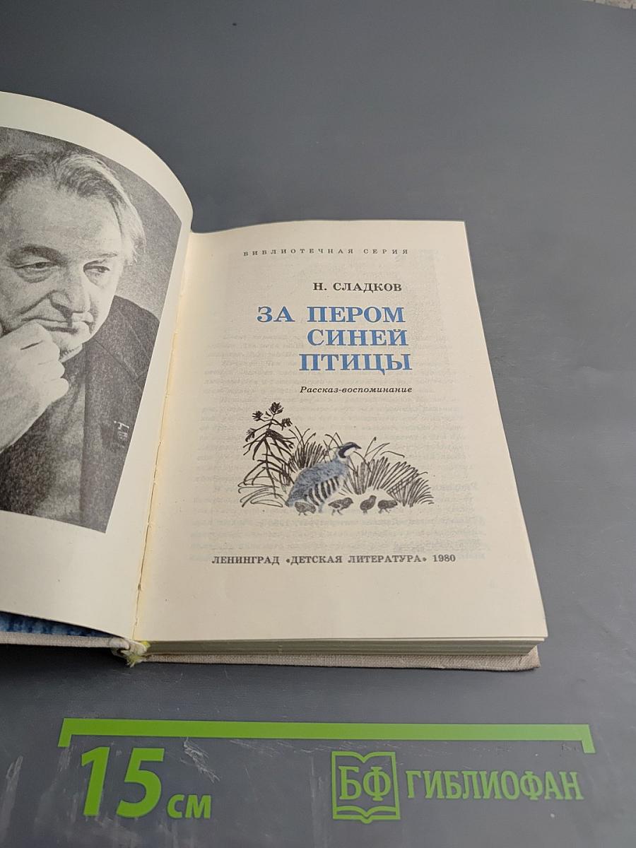 За пером синей птицы