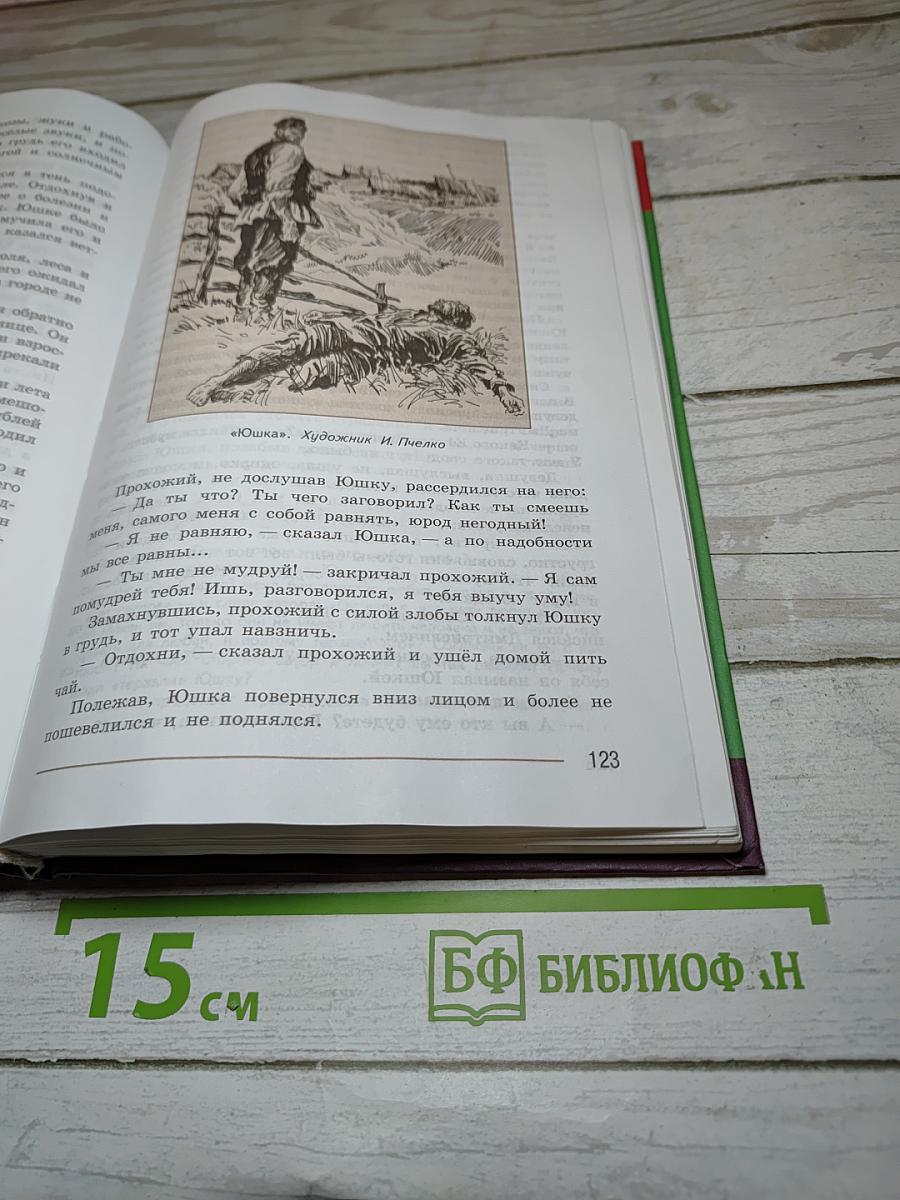 Литература 7 класс Часть 2