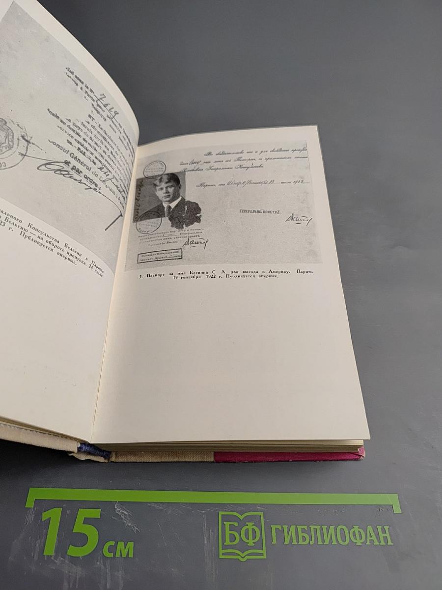 Сергей Есенин. Литературная хроника. Часть 2