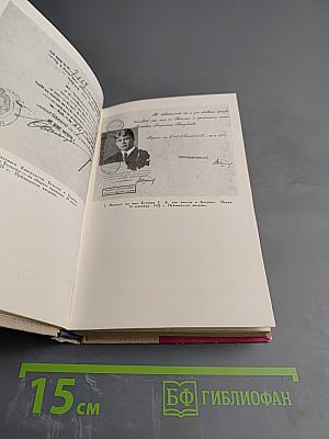 Сергей Есенин. Литературная хроника. Часть 2